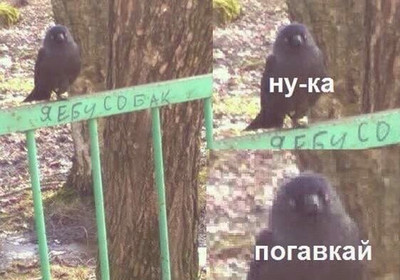 ля какая красота что значит. Смотреть фото ля какая красота что значит. Смотреть картинку ля какая красота что значит. Картинка про ля какая красота что значит. Фото ля какая красота что значит