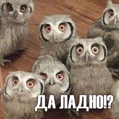 да что вы говорите мем. Смотреть фото да что вы говорите мем. Смотреть картинку да что вы говорите мем. Картинка про да что вы говорите мем. Фото да что вы говорите мем