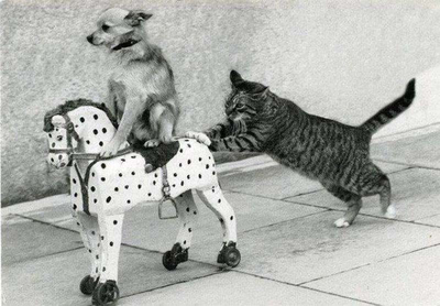 1620820562147710543 Майнкрафт как найти кости динозавров