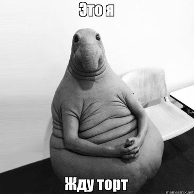 если свадьба то только такая прикол. Смотреть фото если свадьба то только такая прикол. Смотреть картинку если свадьба то только такая прикол. Картинка про если свадьба то только такая прикол. Фото если свадьба то только такая прикол