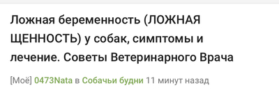 ложная щенность у собак что делать сколько длится. Смотреть фото ложная щенность у собак что делать сколько длится. Смотреть картинку ложная щенность у собак что делать сколько длится. Картинка про ложная щенность у собак что делать сколько длится. Фото ложная щенность у собак что делать сколько длится