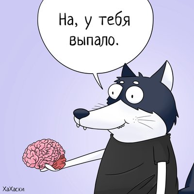 у вас выпало мозг. Смотреть фото у вас выпало мозг. Смотреть картинку у вас выпало мозг. Картинка про у вас выпало мозг. Фото у вас выпало мозг