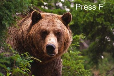 что случилось с валентином пажетновым. 1623305243188788385. что случилось с валентином пажетновым фото. что случилось с валентином пажетновым-1623305243188788385. картинка что случилось с валентином пажетновым. картинка 1623305243188788385.