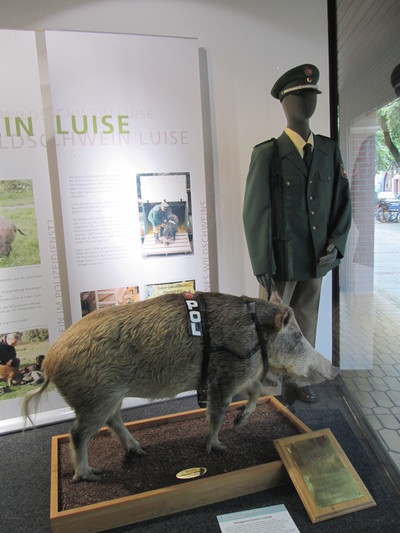 пигмент свинья в форме. Смотреть фото пигмент свинья в форме. Смотреть картинку пигмент свинья в форме. Картинка про пигмент свинья в форме. Фото пигмент свинья в форме пигмент свинья в форме. Смотреть фото пигмент свинья в форме. Смотреть картинку пигмент свинья в форме. Картинка про пигмент свинья в форме. Фото пигмент свинья в форме
