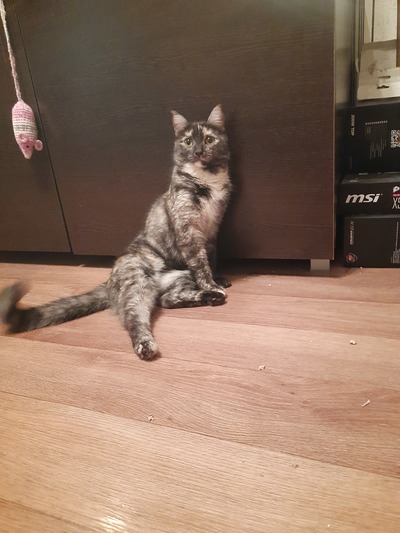 Иллюстрация к комментарию