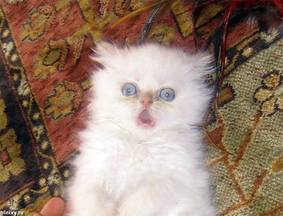 какая интересная история жаль что. Смотреть фото какая интересная история жаль что. Смотреть картинку какая интересная история жаль что. Картинка про какая интересная история жаль что. Фото какая интересная история жаль что какая интересная история жаль что. Смотреть фото какая интересная история жаль что. Смотреть картинку какая интересная история жаль что. Картинка про какая интересная история жаль что. Фото какая интересная история жаль что