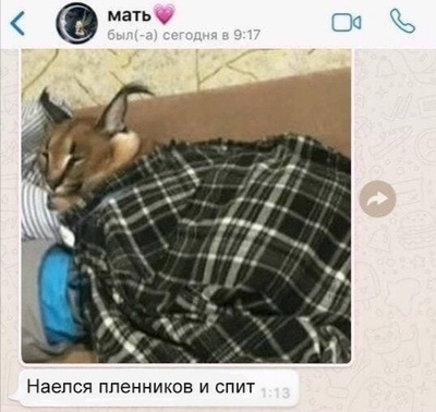 Иллюстрация к комментарию