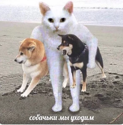 скуби ду научил нас что настоящие монстры это люди. Смотреть фото скуби ду научил нас что настоящие монстры это люди. Смотреть картинку скуби ду научил нас что настоящие монстры это люди. Картинка про скуби ду научил нас что настоящие монстры это люди. Фото скуби ду научил нас что настоящие монстры это люди