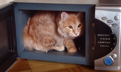 1627097573142842618 можно ли класть салфетку в микроволновку