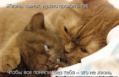 Депутат госдумы назвал курганский храм сараем. Смотреть фото Депутат госдумы назвал курганский храм сараем. Смотреть картинку Депутат госдумы назвал курганский храм сараем. Картинка про Депутат госдумы назвал курганский храм сараем. Фото Депутат госдумы назвал курганский храм сараем