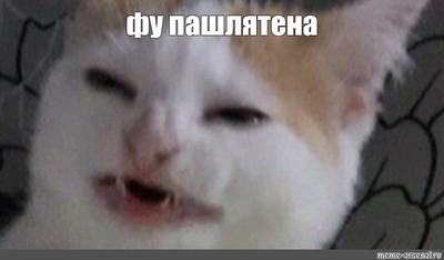Как выглядит стрекоза под микроскопом. Смотреть фото Как выглядит стрекоза под микроскопом. Смотреть картинку Как выглядит стрекоза под микроскопом. Картинка про Как выглядит стрекоза под микроскопом. Фото Как выглядит стрекоза под микроскопом