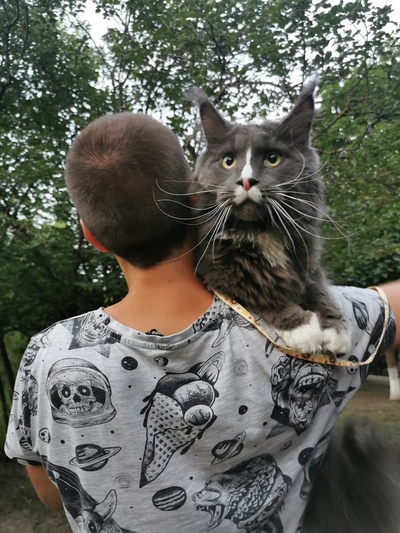 Иллюстрация к комментарию