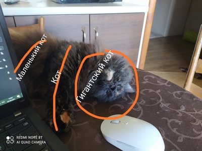 ����������� � �����������