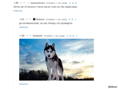 ����������� � �����������