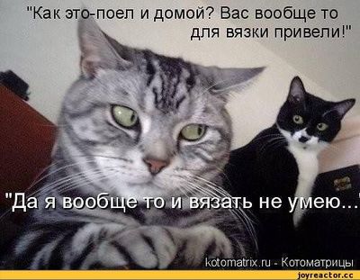 что значит переиграл и уничтожил. Смотреть фото что значит переиграл и уничтожил. Смотреть картинку что значит переиграл и уничтожил. Картинка про что значит переиграл и уничтожил. Фото что значит переиграл и уничтожил