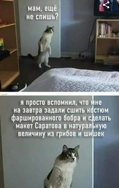 Что значит слово жмыхнуло