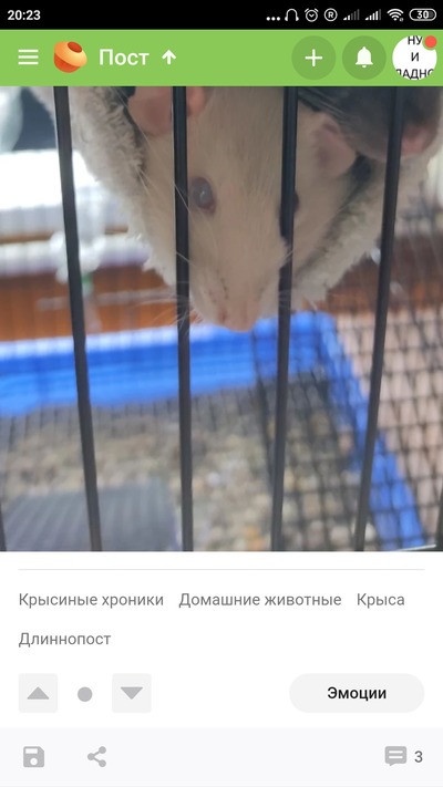 Иллюстрация к комментарию