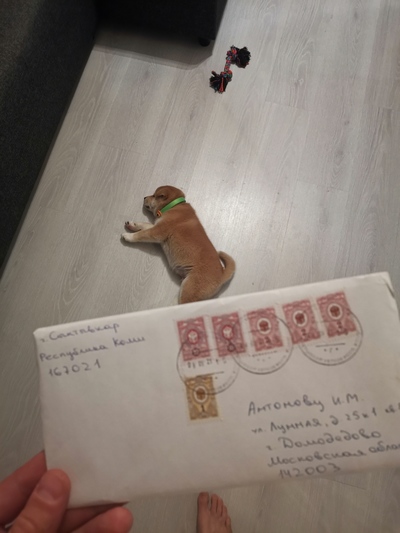 Иллюстрация к комментарию