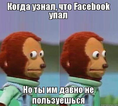 заяц сошел с ума. Смотреть фото заяц сошел с ума. Смотреть картинку заяц сошел с ума. Картинка про заяц сошел с ума. Фото заяц сошел с ума