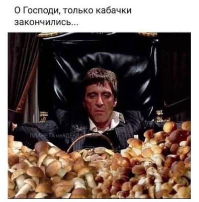не обижайте толстяков однажды они могут спасти вам жизнь. Смотреть фото не обижайте толстяков однажды они могут спасти вам жизнь. Смотреть картинку не обижайте толстяков однажды они могут спасти вам жизнь. Картинка про не обижайте толстяков однажды они могут спасти вам жизнь. Фото не обижайте толстяков однажды они могут спасти вам жизнь