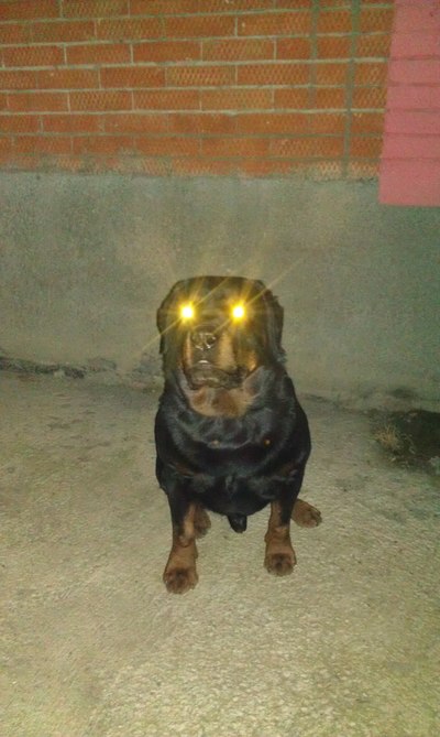 не снимай меня мне стыдно. 1634515695129976185. не снимай меня мне стыдно фото. не снимай меня мне стыдно-1634515695129976185. картинка не снимай меня мне стыдно. картинка 1634515695129976185. Прошу строго не судить,мне было лет 7.
