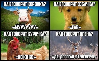 видео так бывает истории. Смотреть фото видео так бывает истории. Смотреть картинку видео так бывает истории. Картинка про видео так бывает истории. Фото видео так бывает истории видео так бывает истории. Смотреть фото видео так бывает истории. Смотреть картинку видео так бывает истории. Картинка про видео так бывает истории. Фото видео так бывает истории