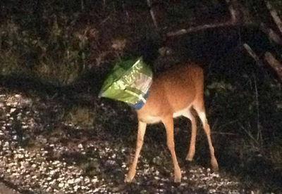 видео так бывает истории. Смотреть фото видео так бывает истории. Смотреть картинку видео так бывает истории. Картинка про видео так бывает истории. Фото видео так бывает истории видео так бывает истории. Смотреть фото видео так бывает истории. Смотреть картинку видео так бывает истории. Картинка про видео так бывает истории. Фото видео так бывает истории