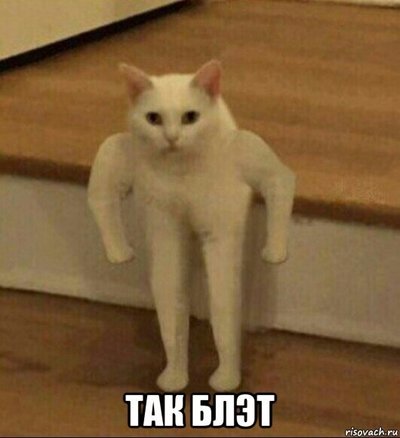 Так блэт что за птица. Так блэт что за птица фото. картинка Так блэт что за птица. смотреть фото Так блэт что за птица. смотреть картинку Так блэт что за птица.