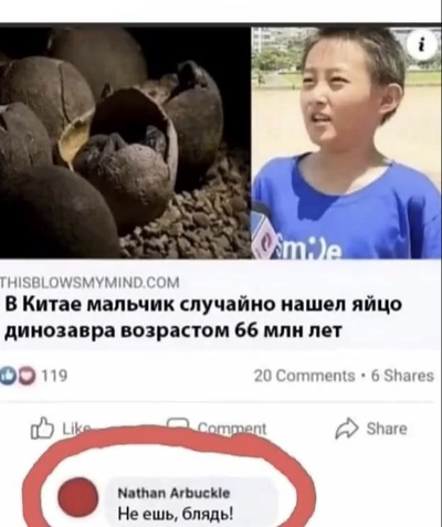 люди нашли яйцо динозавра. Смотреть фото люди нашли яйцо динозавра. Смотреть картинку люди нашли яйцо динозавра. Картинка про люди нашли яйцо динозавра. Фото люди нашли яйцо динозавра люди нашли яйцо динозавра. Смотреть фото люди нашли яйцо динозавра. Смотреть картинку люди нашли яйцо динозавра. Картинка про люди нашли яйцо динозавра. Фото люди нашли яйцо динозавра