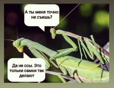 не знаю так далеко я еще не заходил. Смотреть фото не знаю так далеко я еще не заходил. Смотреть картинку не знаю так далеко я еще не заходил. Картинка про не знаю так далеко я еще не заходил. Фото не знаю так далеко я еще не заходил