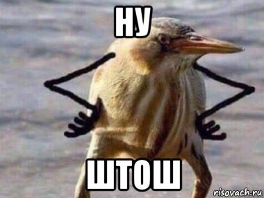 поперечный история про бар. Смотреть фото поперечный история про бар. Смотреть картинку поперечный история про бар. Картинка про поперечный история про бар. Фото поперечный история про бар