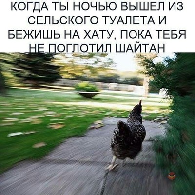 что видел ежик в тумане 100 к 1. 163589713811918023. что видел ежик в тумане 100 к 1 фото. что видел ежик в тумане 100 к 1-163589713811918023. картинка что видел ежик в тумане 100 к 1. картинка 163589713811918023.