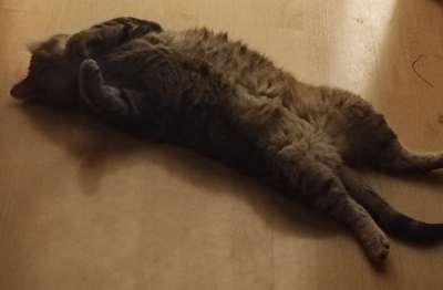 лицо морти которого можно тянуть. Смотреть фото лицо морти которого можно тянуть. Смотреть картинку лицо морти которого можно тянуть. Картинка про лицо морти которого можно тянуть. Фото лицо морти которого можно тянуть лицо морти которого можно тянуть. Смотреть фото лицо морти которого можно тянуть. Смотреть картинку лицо морти которого можно тянуть. Картинка про лицо морти которого можно тянуть. Фото лицо морти которого можно тянуть