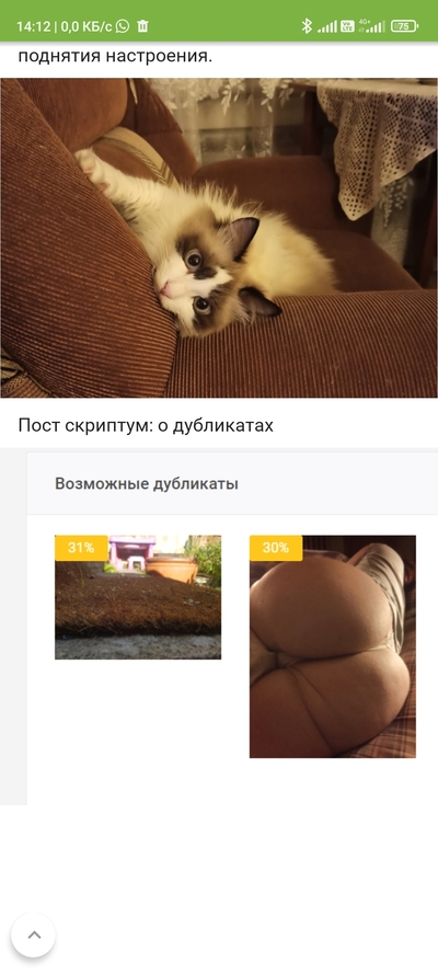 Иллюстрация к комментарию