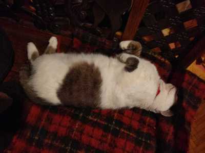 лицо морти которого можно тянуть. Смотреть фото лицо морти которого можно тянуть. Смотреть картинку лицо морти которого можно тянуть. Картинка про лицо морти которого можно тянуть. Фото лицо морти которого можно тянуть лицо морти которого можно тянуть. Смотреть фото лицо морти которого можно тянуть. Смотреть картинку лицо морти которого можно тянуть. Картинка про лицо морти которого можно тянуть. Фото лицо морти которого можно тянуть