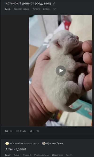 Иллюстрация к комментарию