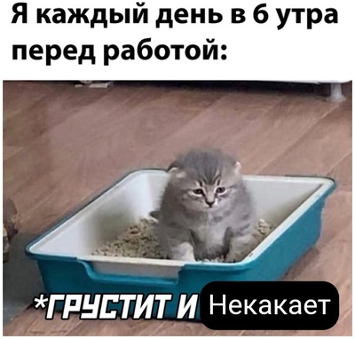 Что значит утро начинается не с кофе