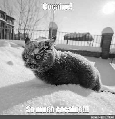 Сервис ну как так. Смотреть фото Сервис ну как так. Смотреть картинку Сервис ну как так. Картинка про Сервис ну как так. Фото Сервис ну как так Сервис ну как так. Смотреть фото Сервис ну как так. Смотреть картинку Сервис ну как так. Картинка про Сервис ну как так. Фото Сервис ну как так