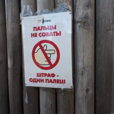 что написано на заборе поговорка. Смотреть фото что написано на заборе поговорка. Смотреть картинку что написано на заборе поговорка. Картинка про что написано на заборе поговорка. Фото что написано на заборе поговорка
