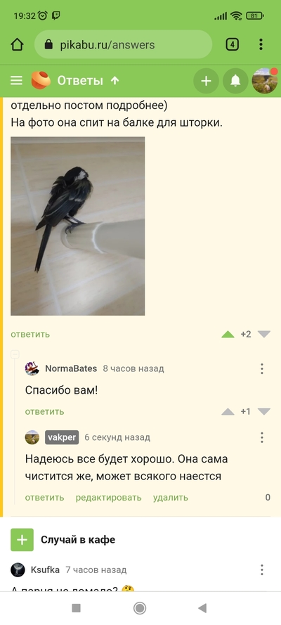 Иллюстрация к комментарию