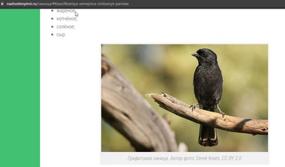 164051554612869624 Мем я ем как птичка