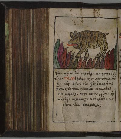 Иллюстрация к комментарию