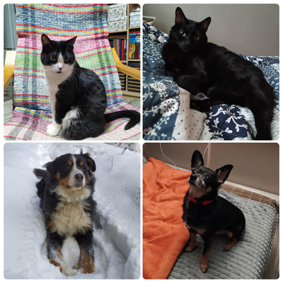 ����������� � �����������