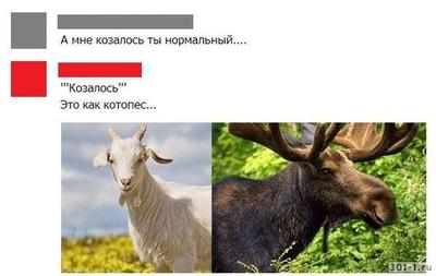 Иллюстрация к комментарию