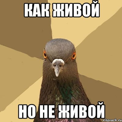 Иллюстрация к комментарию