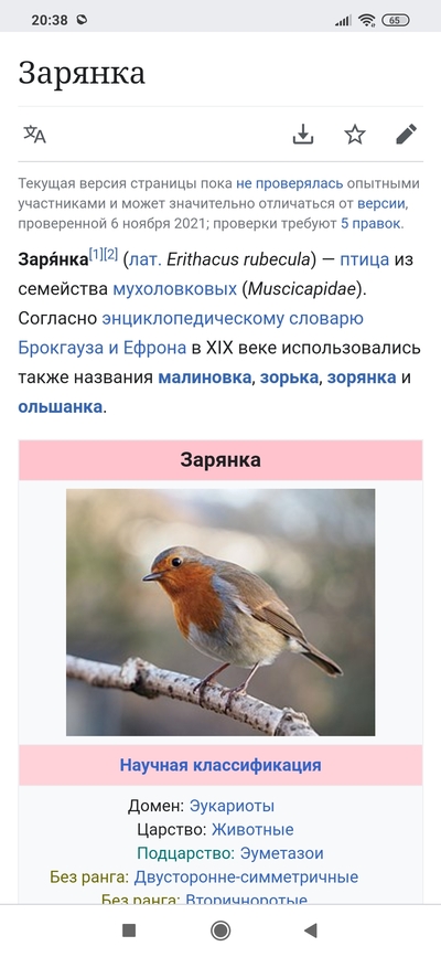 ����������� � �����������