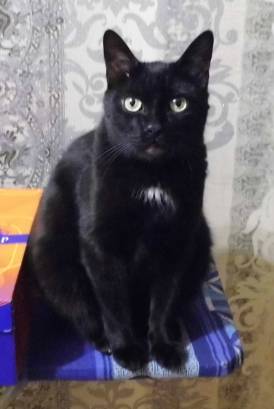 Иллюстрация к комментарию