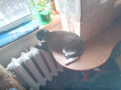 Иллюстрация к комментарию