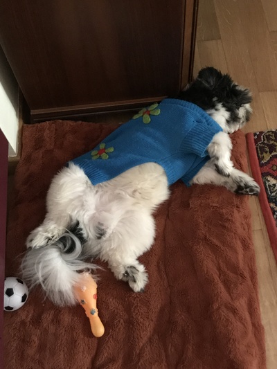 Иллюстрация к комментарию