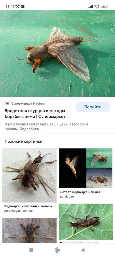 Иллюстрация к комментарию